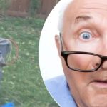 Čudno otkriće u blizini stabla ostavilo je susjedu u nedoumici: